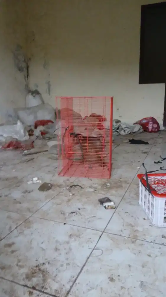 SUPER MURAH ! Kandang kucing ukuran besar (masih baru & mulus)