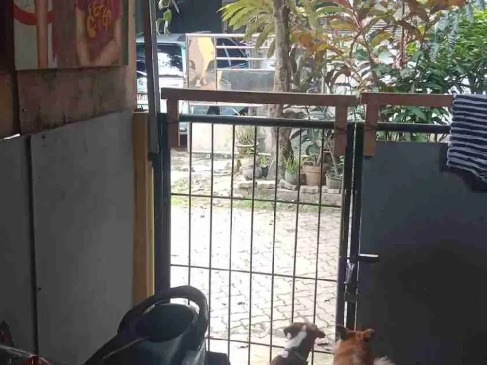 disewakan tahunan rumah dasana indah blok BA 5 no 8 akses dekat jalan menuju gerbang utama