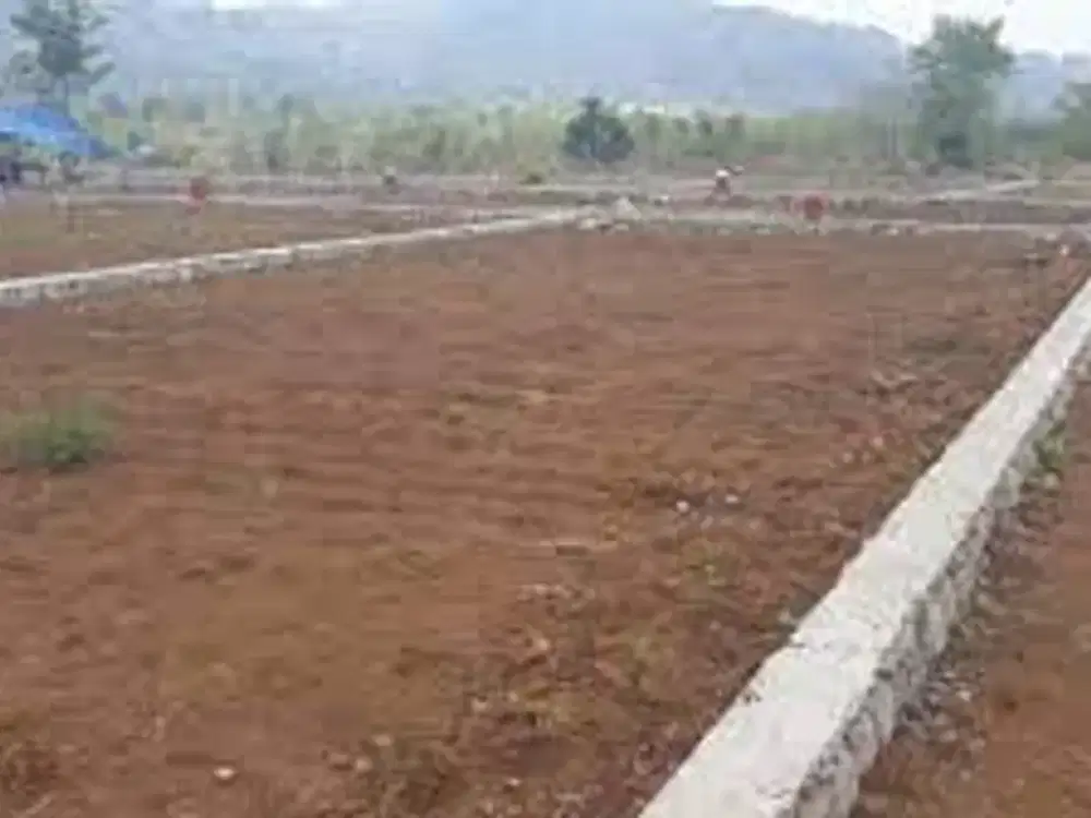 Raya Tambak Langon Tanah Peruntukkan Gudang / Pabrik