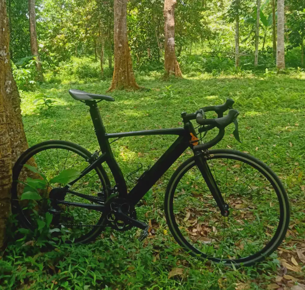 Roadbike element frc85