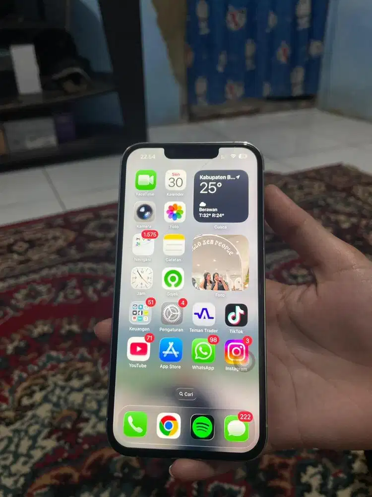 Iphone 13 pro 256gb