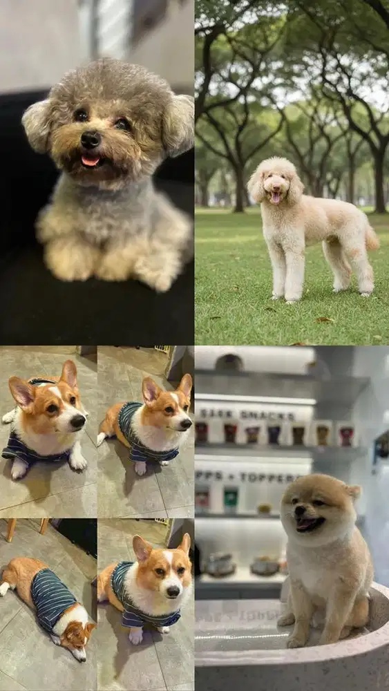 LOWONGAN ART DI JAGAKARSA, JAKARTA SELATAN