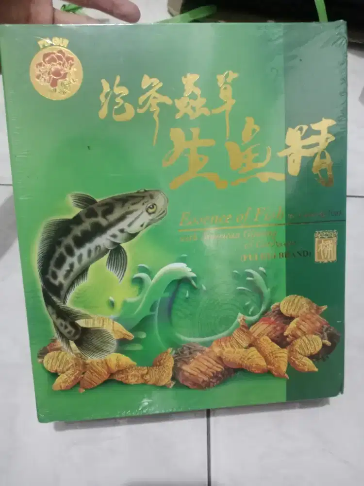 Minyak ikan gabus masih baru original masih di segel