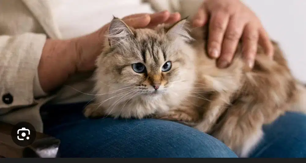 Lowongan kerja Art Pria