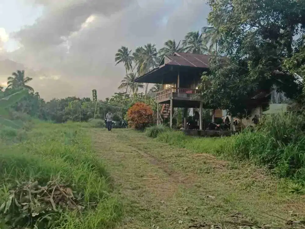 Tanah dekat pintu tol Sagerat, cocok untuk bangun perumahan atau gudang
