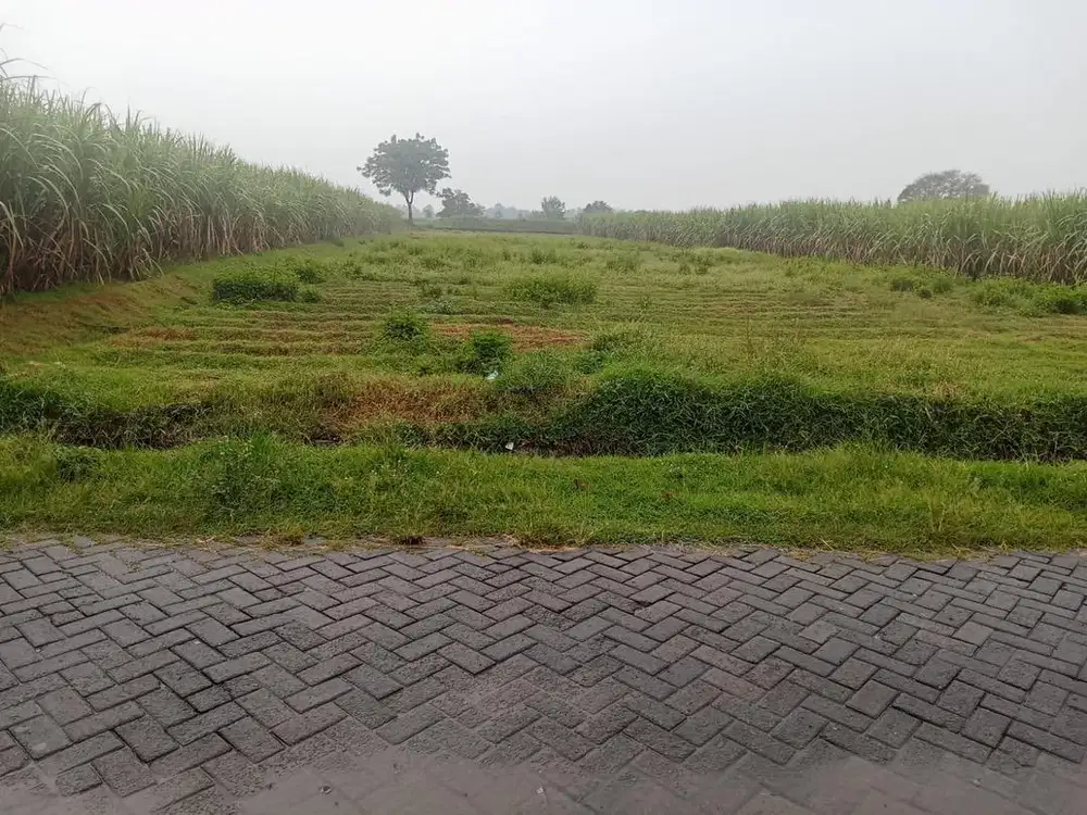 tanah Pinggir jalan siap bangun