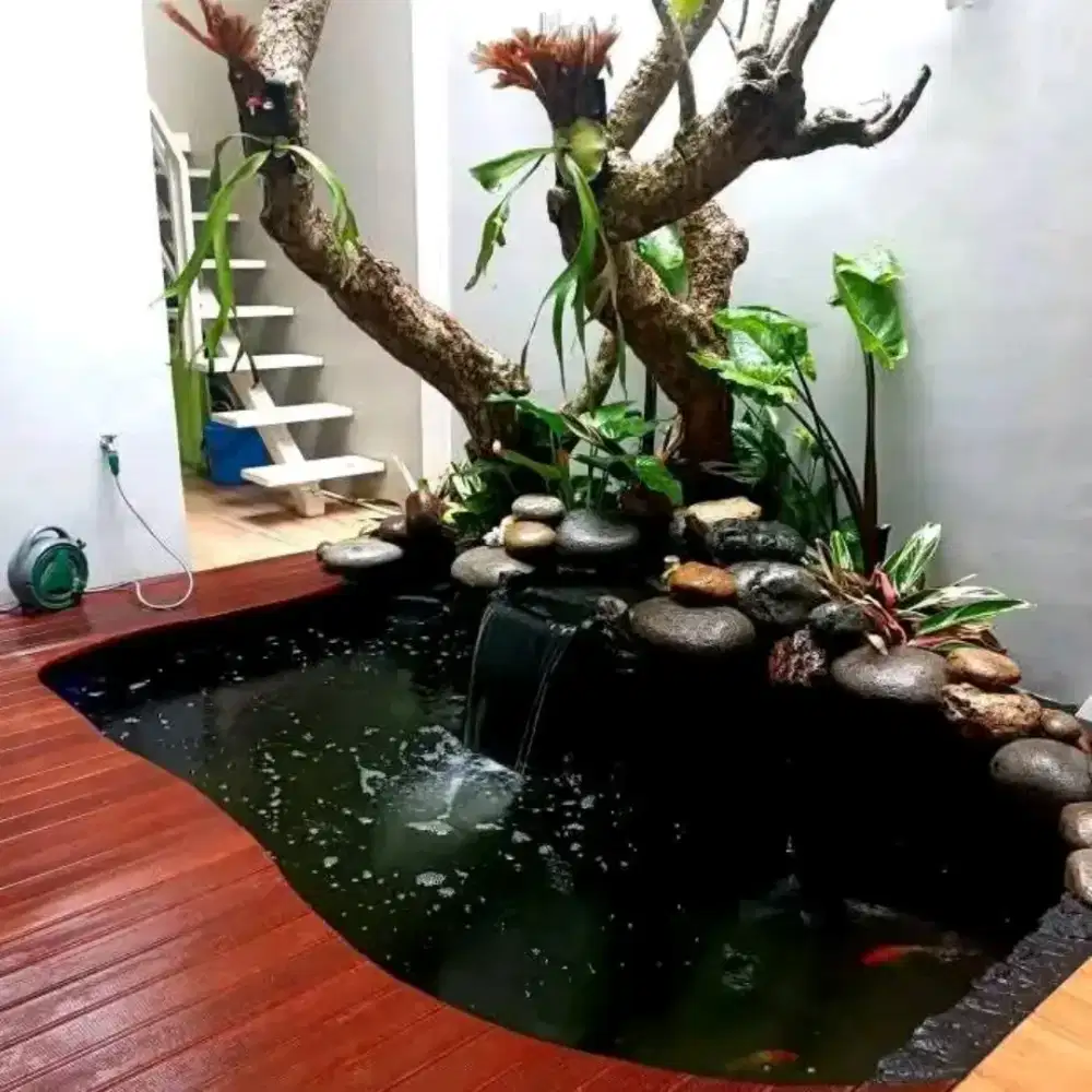 Spesialis Taman dan kolam Koi