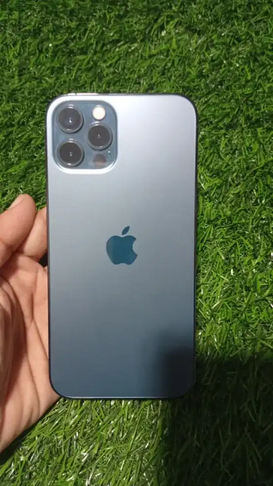 IPhone 12 Pro 128GB Inter Mulus