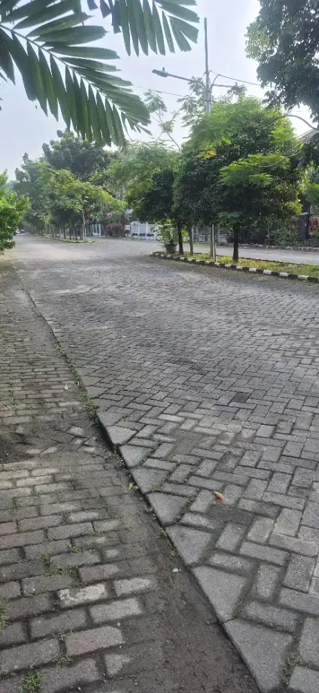 Supir harian antar jemput anak