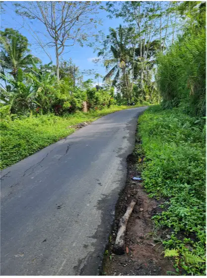 Tanah 6 Are Di Tegalalang Ubud Bali