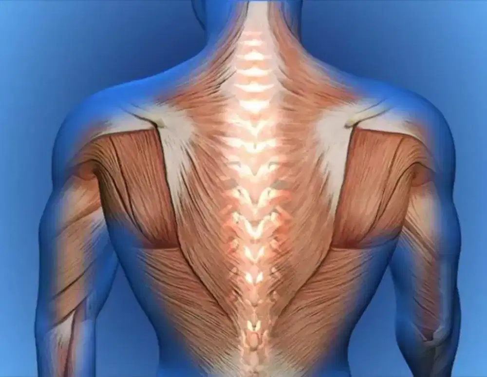 Titik totok punggung