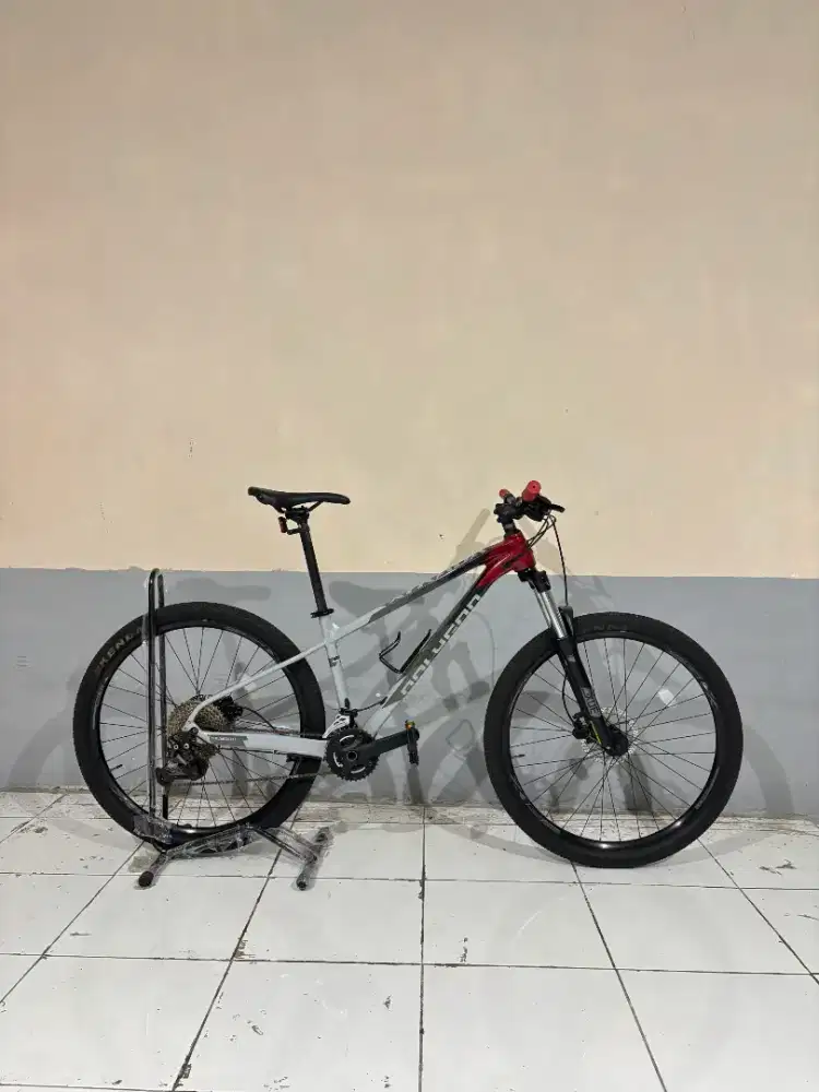 POLYGON XTRADA 5 TAHUN 2022