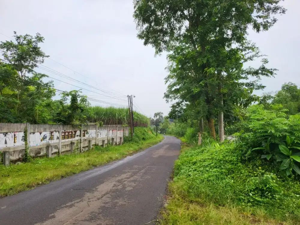 DIJUAL TANAH POROS JALAN DI WAGIR – LOKASI STRATEGIS