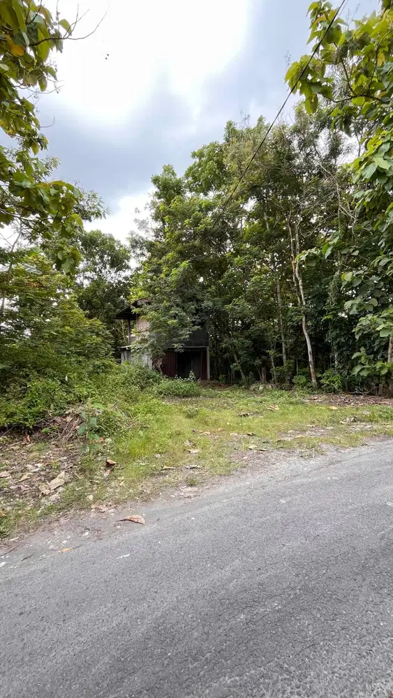 TANAH MURAH HANYA 1 JUTAAN SAJA DI LOKASI STRATEGIS