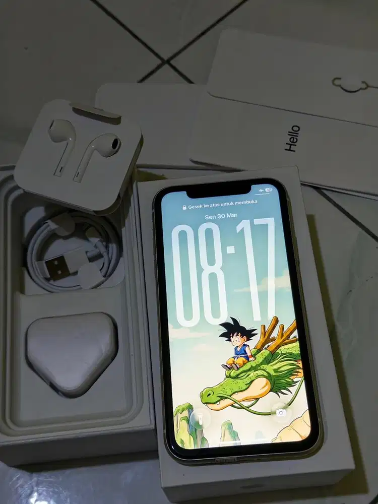 iphone 11 256 starlight