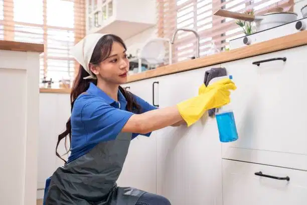 DICARI ASISTEN RUMAH TANGGA / PEMBANTU RUMAH TANGGA