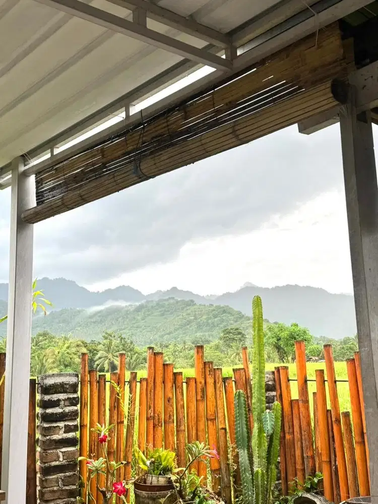 Lowongan Asisten Rumah Tangga