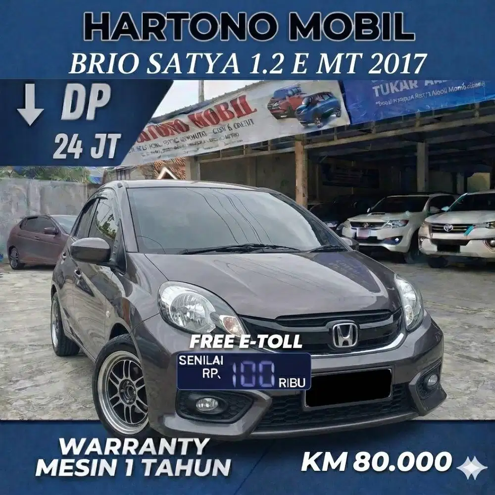 BRIO E MANUAL 2017