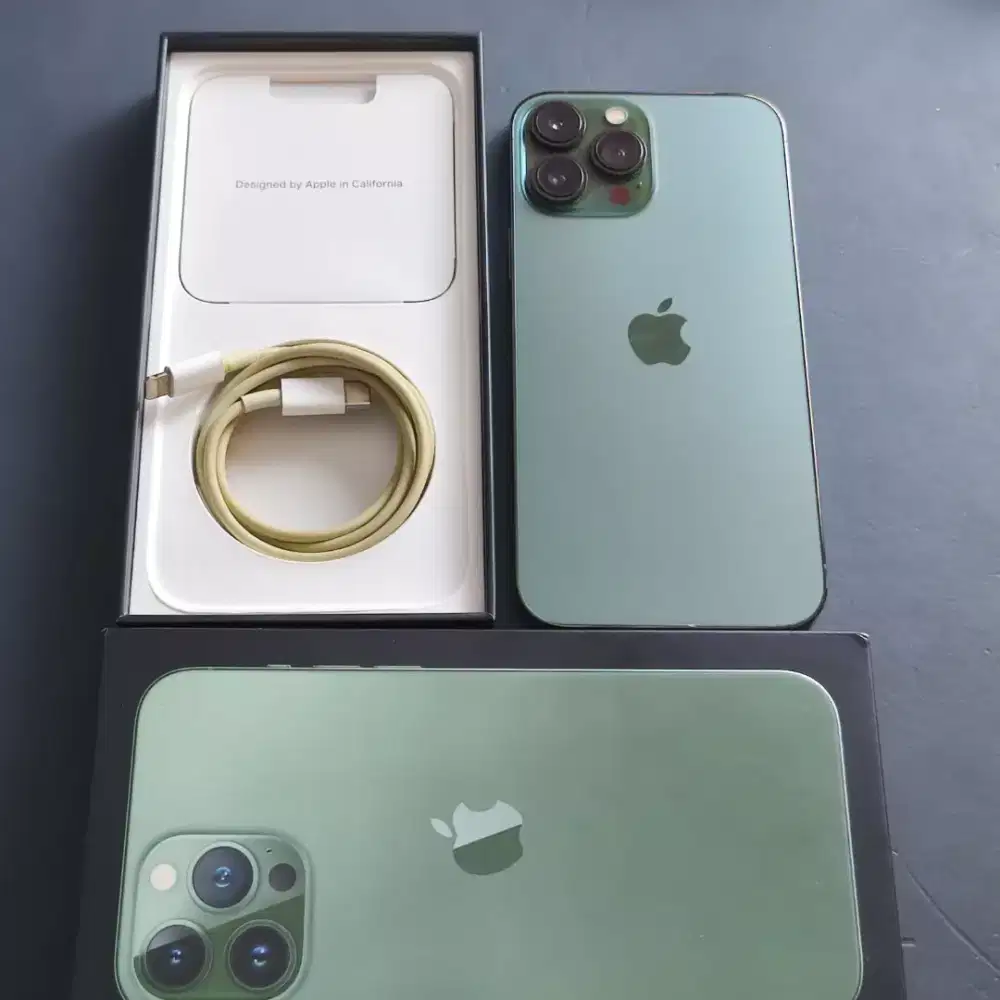 IPHONE 13 PRO MAX 128GB ALPINE GREEN EX GARANSI RESMI IBOX