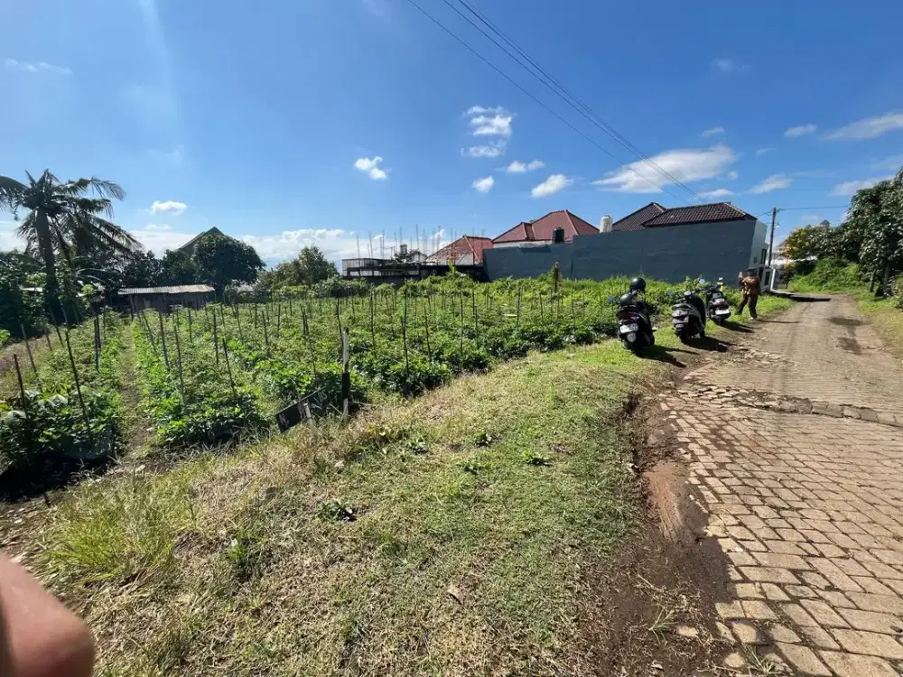Beli Tanah Sekarang, Untung Berkali Lipat di Masa Depan