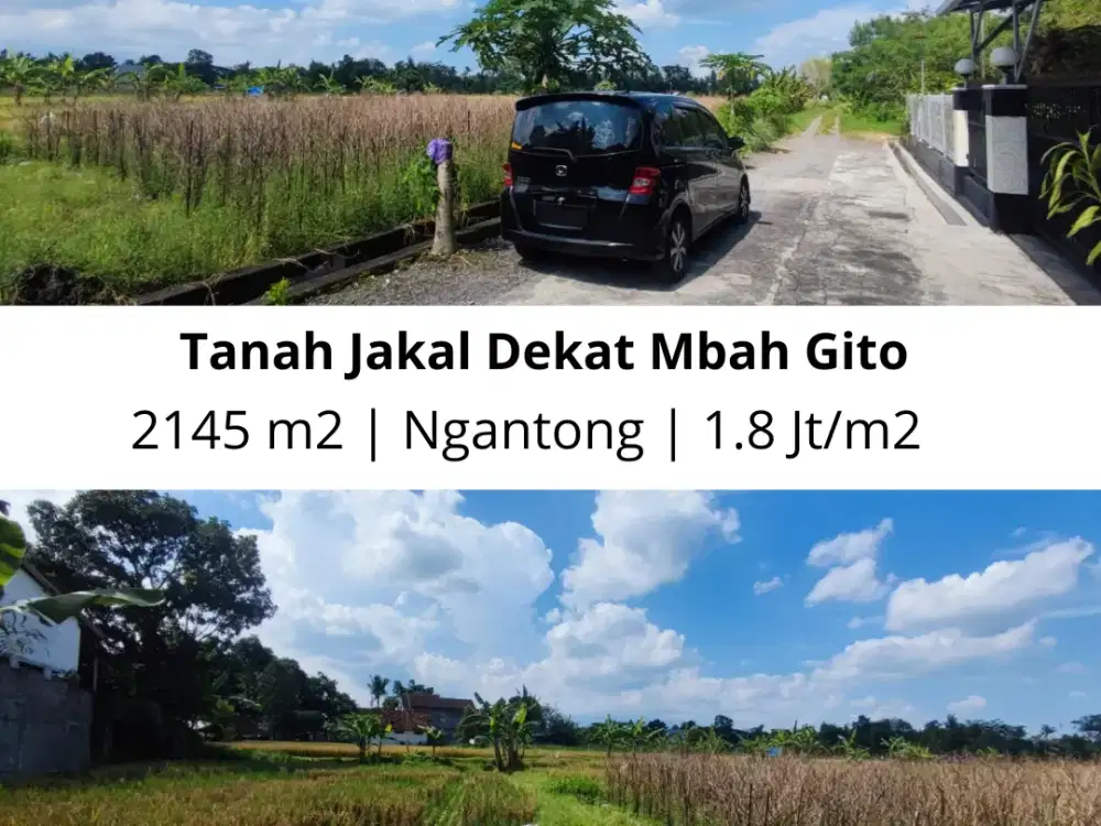Cocok Villa! Tanah 2.145m² View Sawah Dekat Pawon Mbah Gito