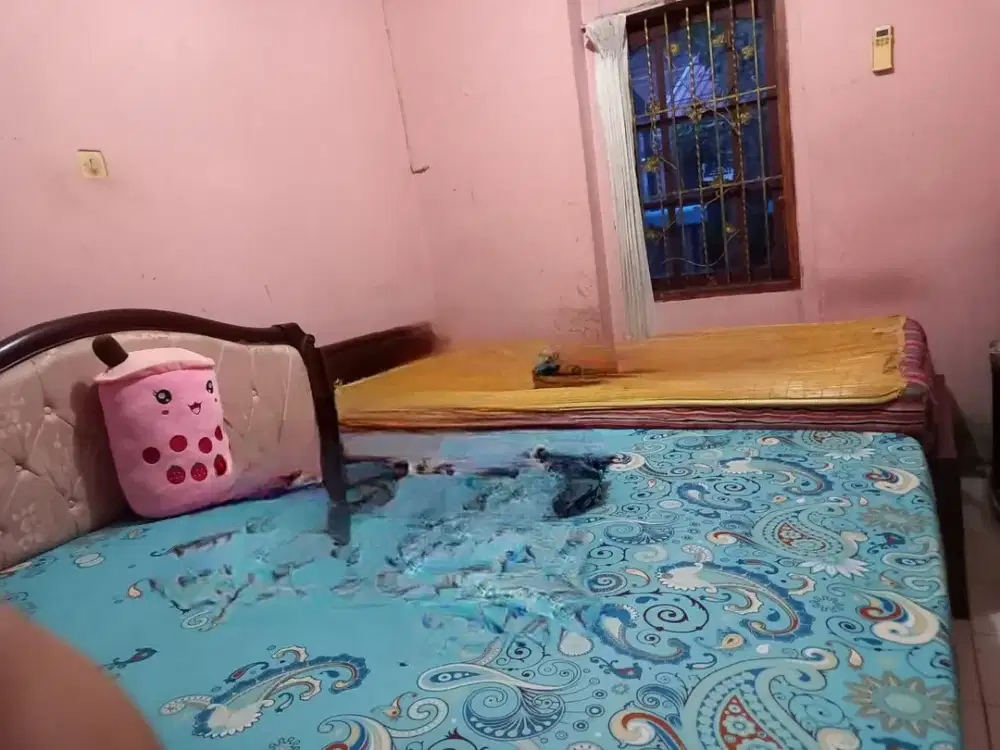 Dijual Rumah 1,5 Lantai Siap Huni 2 KT di Catalina Gading Serpong  Lokasi Strategis