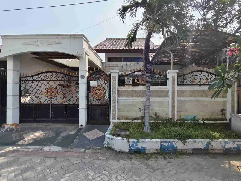 ‼️Murah Soro, Hitung Tanah‼️ Rumah (9×19) di Rayan Regency Wiyung dekat Dian Istana Babatan Gunungsari