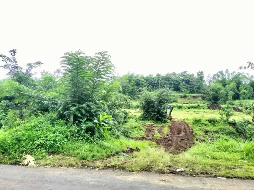 Tanah Strategis Kota Malang – Cocok Hunian & Investasi