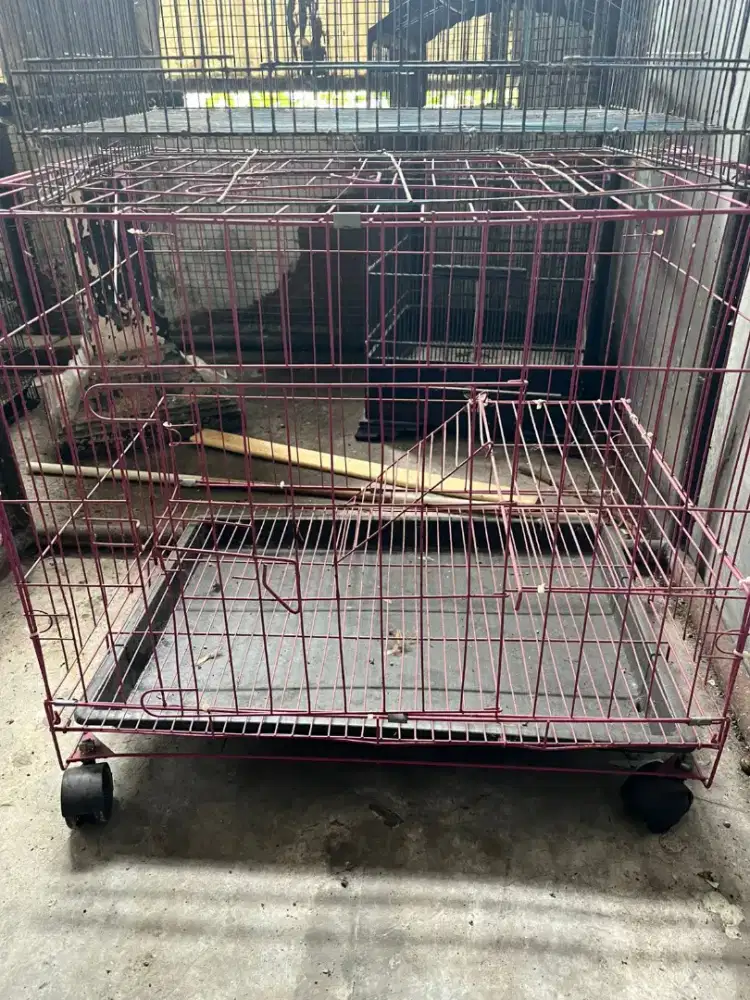 Kandang bekas Kucing masih bagus,murah