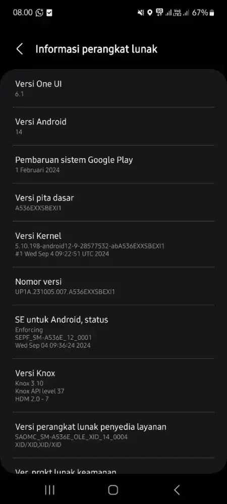 Hp samsung galaxy A53 8/128 gb