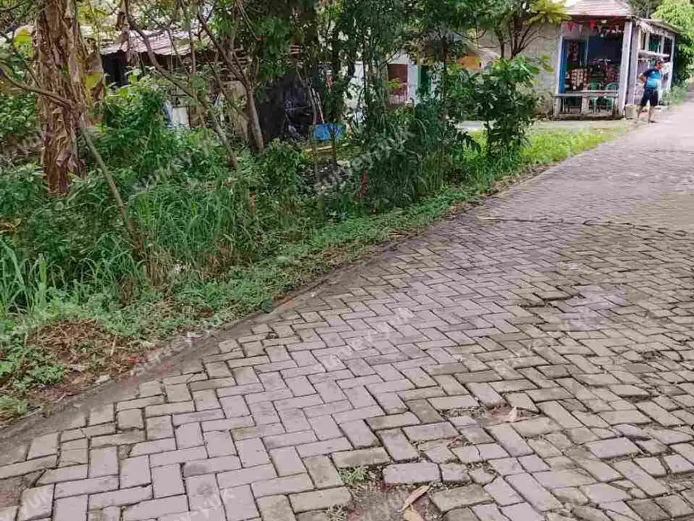 Tanah murah 500 m2 SHM Kunciran Pinang Tangerang kota