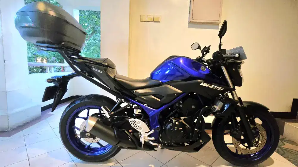 Yamaha MT25 , plat DK