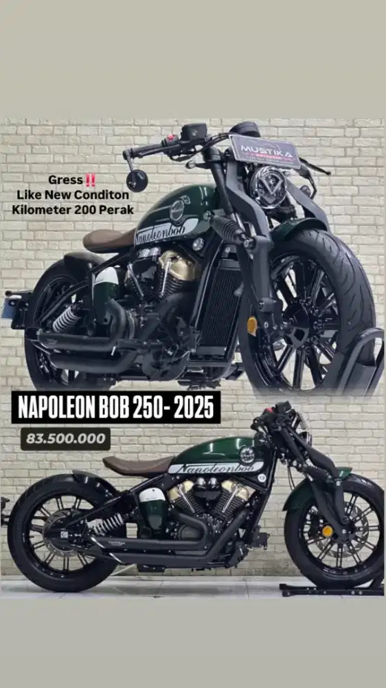 Napoleon Bob 250 2025