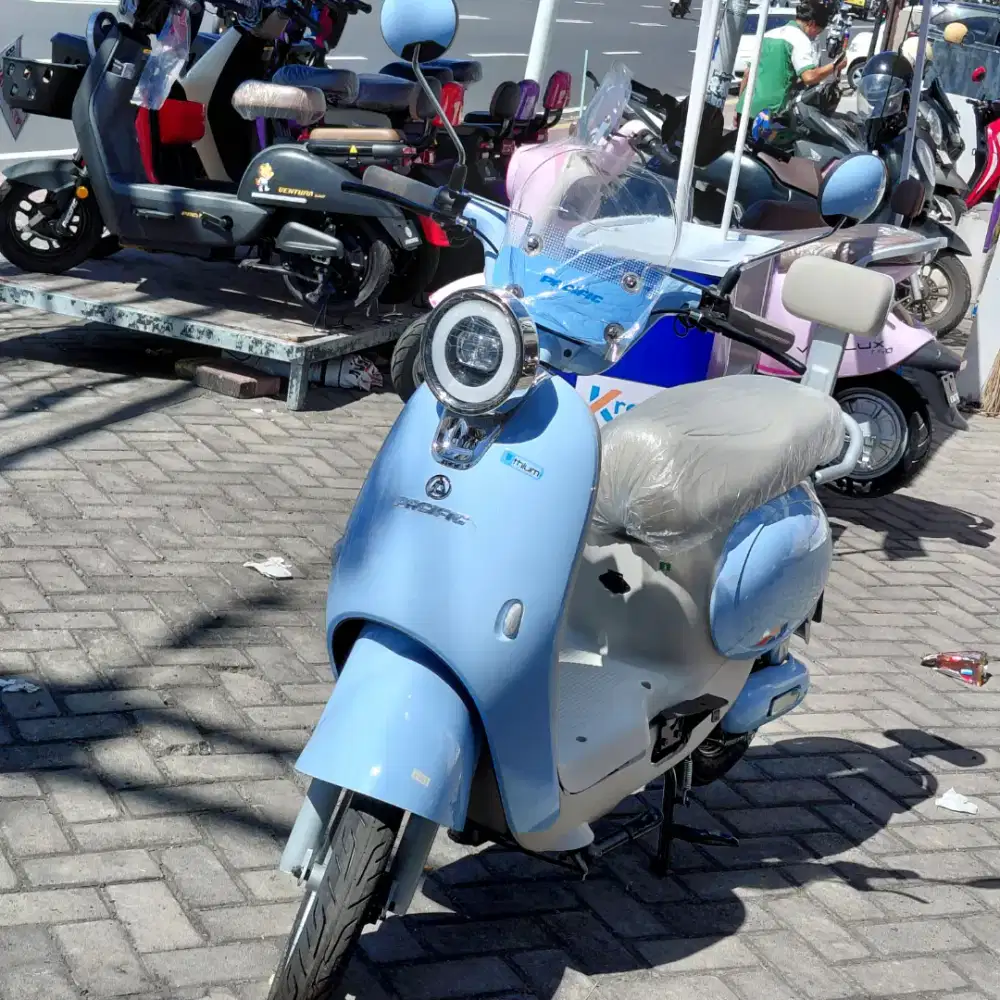 Sepeda listrik Baterai Lithium Murah