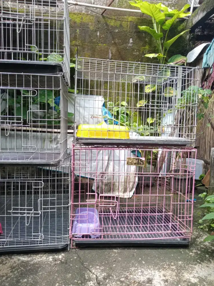 Kandang kucing seken