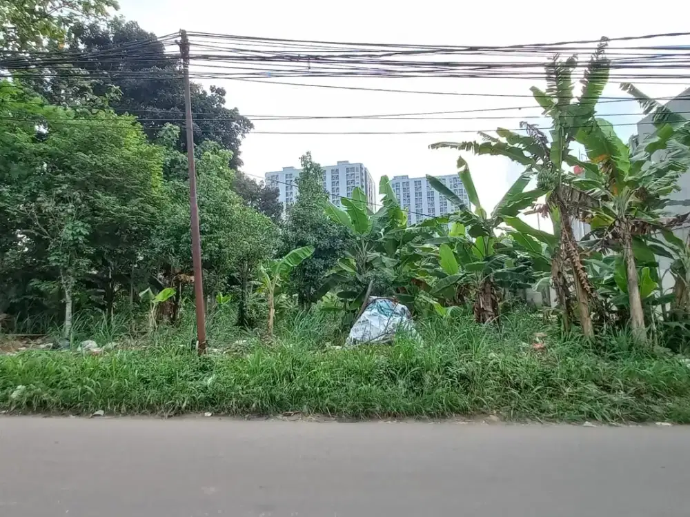 Tanah SHM Hadap Jalan di Lengkong Gudang Timur