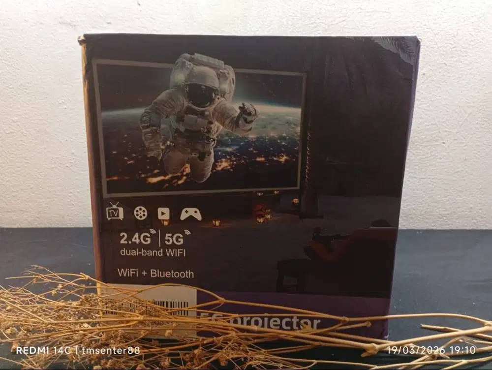 Proyektor home LED lights