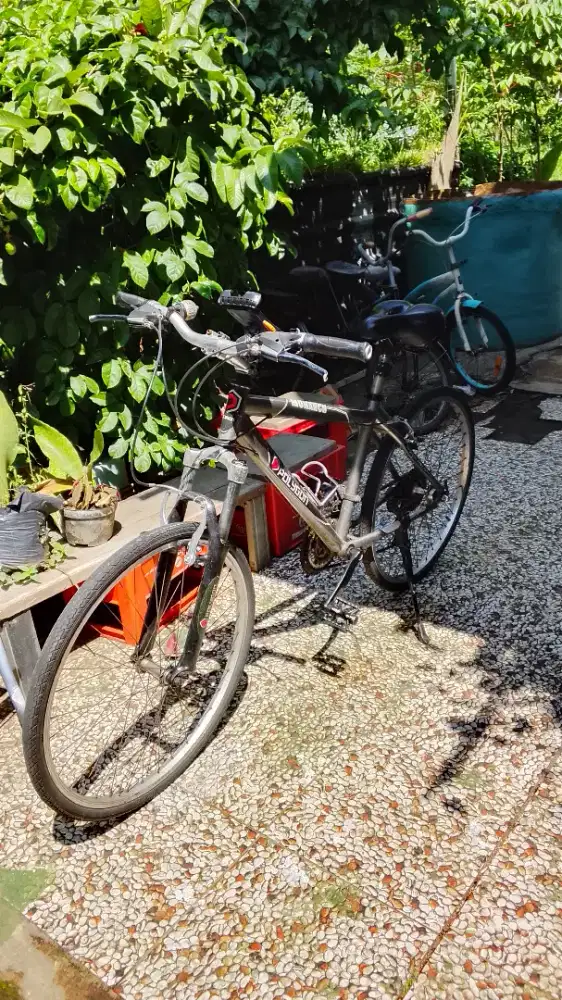 Polygon monarch uk26