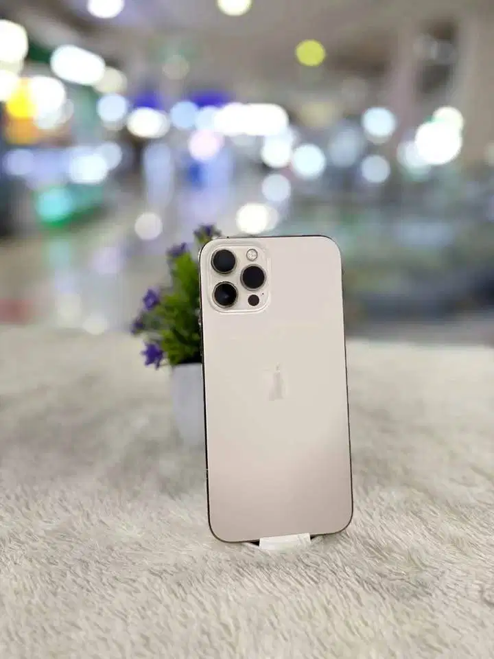 IP 12 Pro Max 256 Ibox Fullset Normal