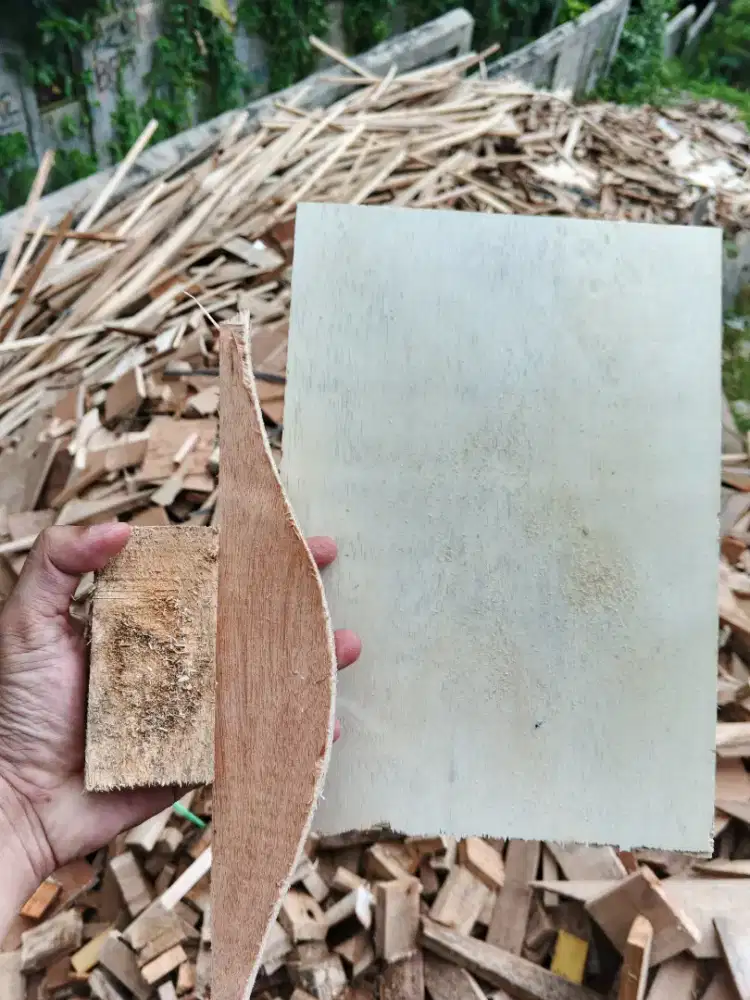 Limbah Kayu Palet, Jati Belanda, Triplek, dan Multiplek (Plywood)