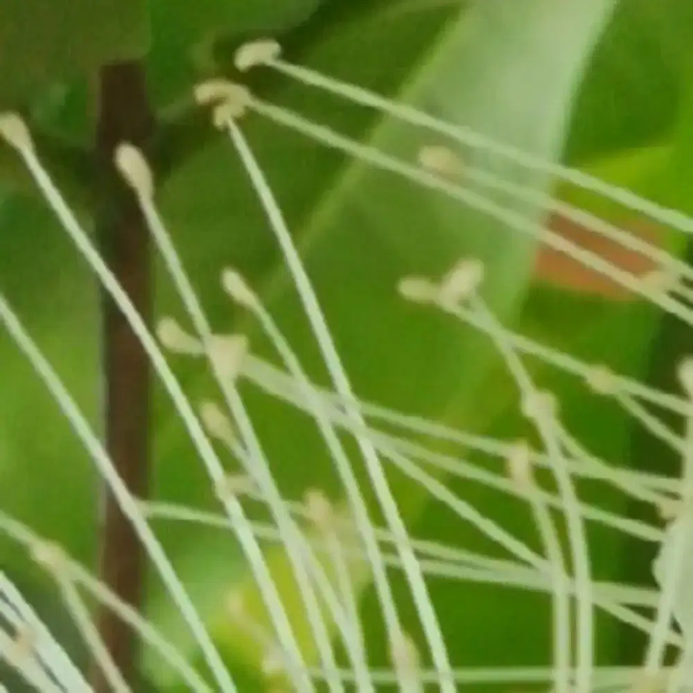 Sedang Mencari Pekerjaan