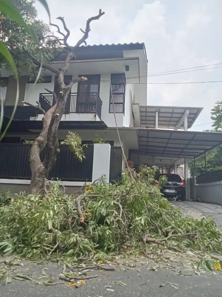 Tebang pohon dan babat rumput