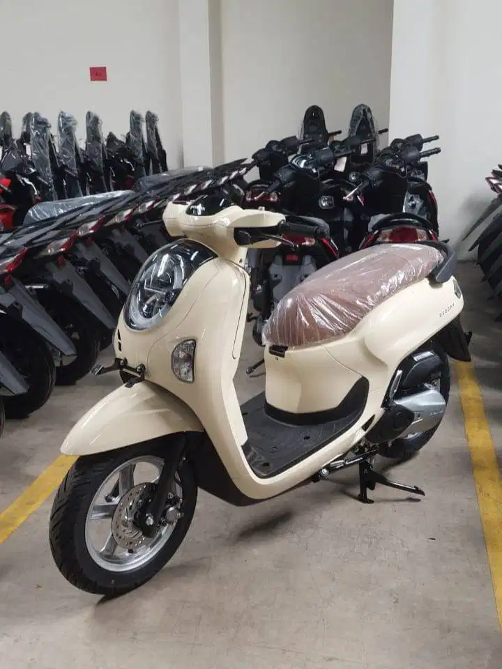 Honda Scoopy Fashion Cream 2026 DP 0!!!