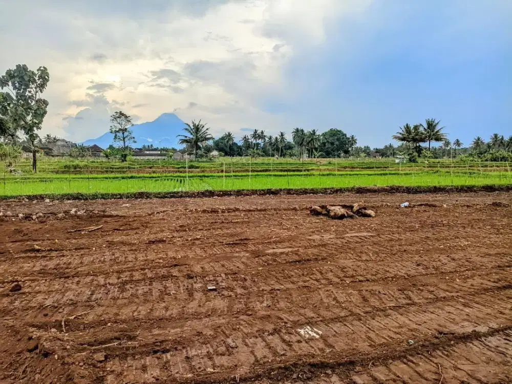 Tanah Jogja Sleman Dekat Jl Magelang Area Jl Palagan Siap Bangun