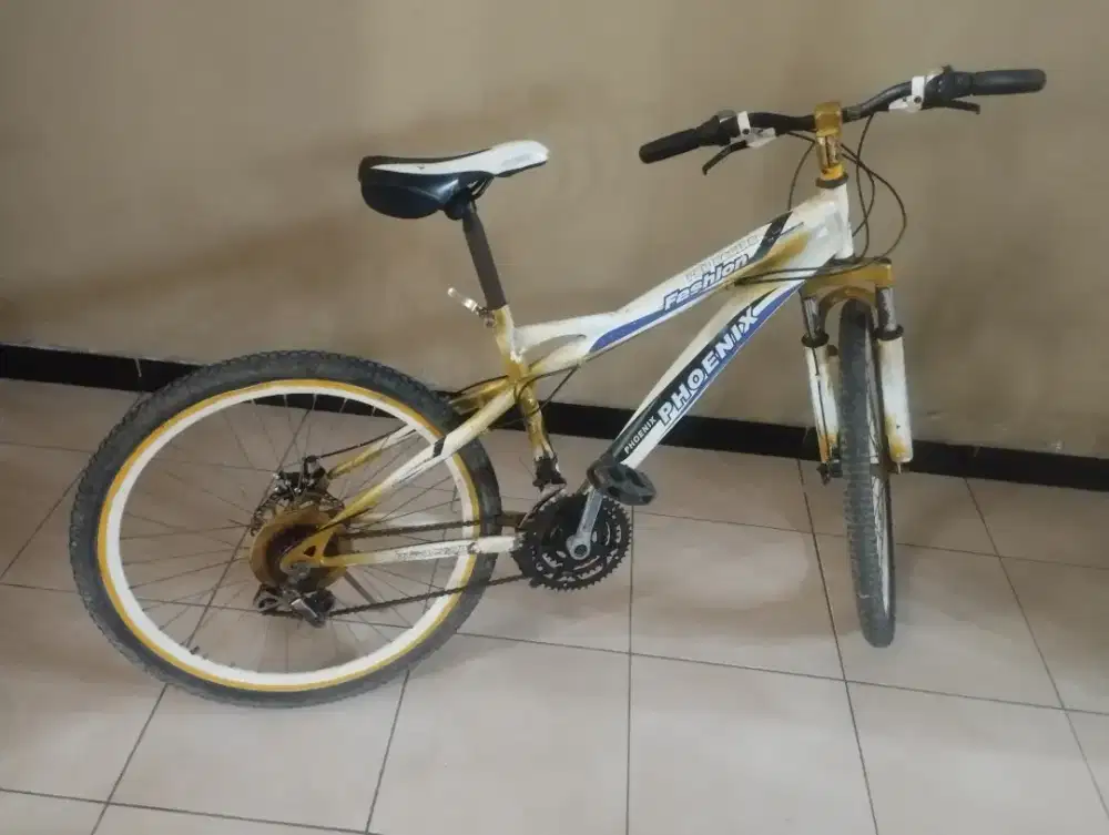 Sepeda bekas tapi masih bagus