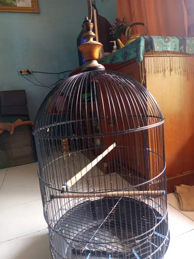 Kandang burung besi uk besar