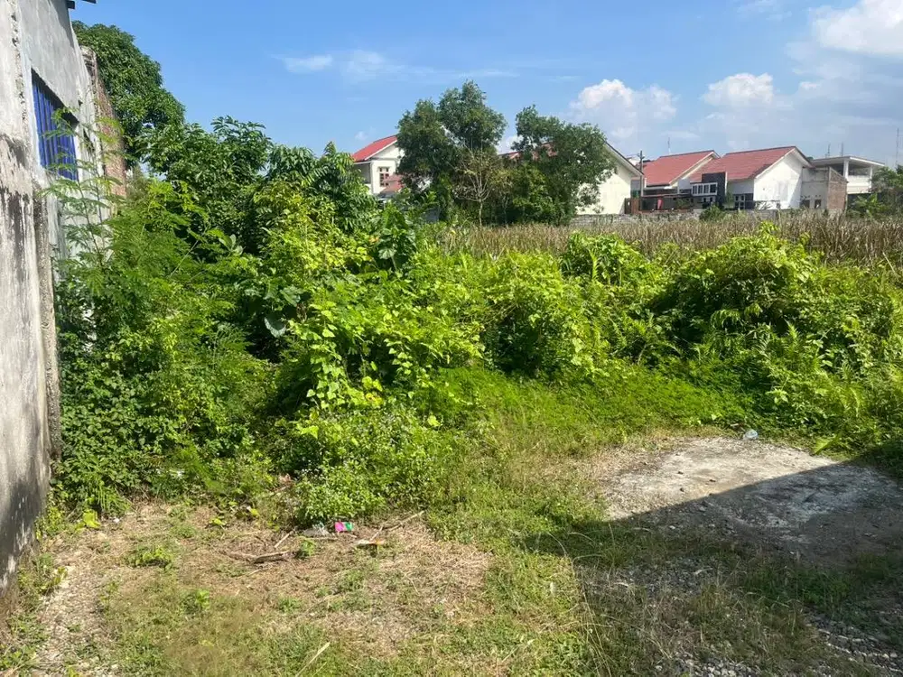 Tanah luas 290.M.gampong beutong perbtasan ajuen jempet