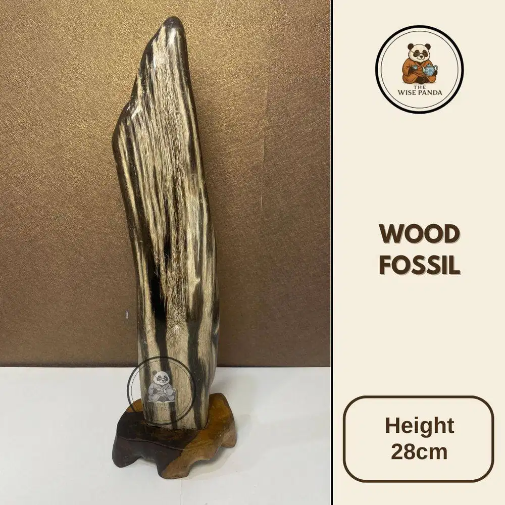 Fosil Kayu Tinggi 28cm - Wood Fossil