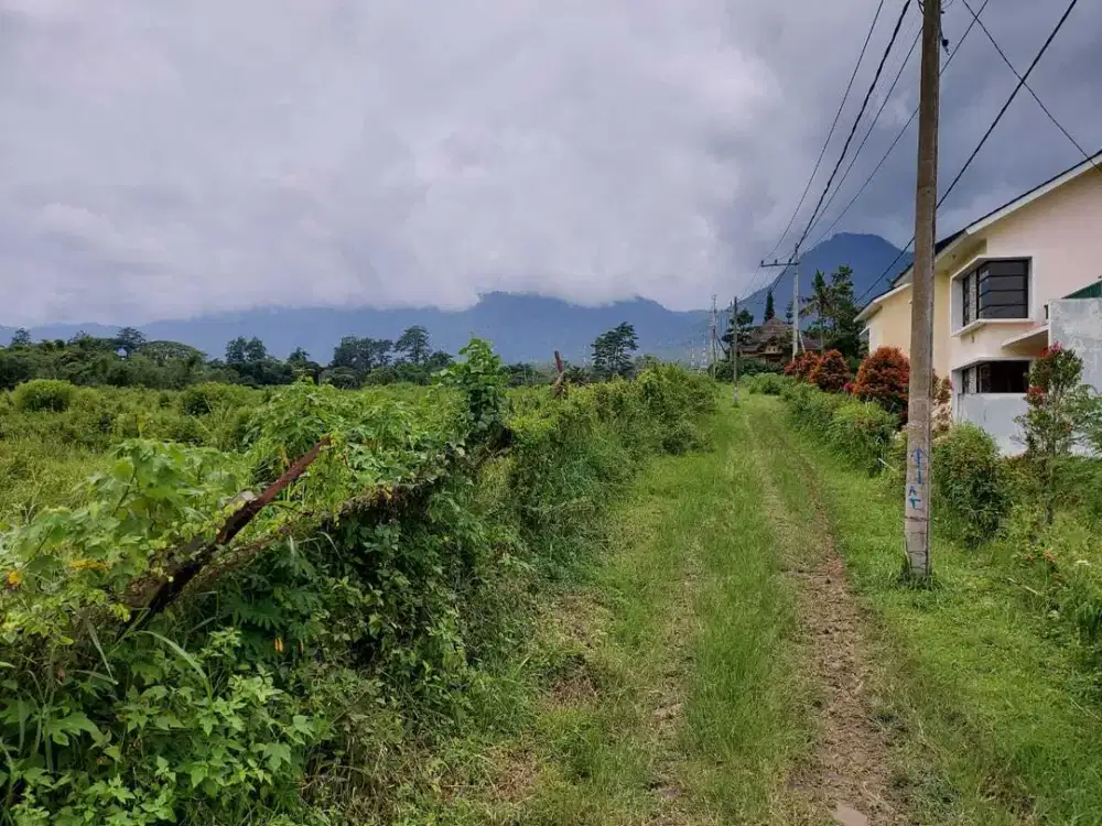 Dijual Muraaaah Tanah Lokasi Strategis dekat BNS Batu