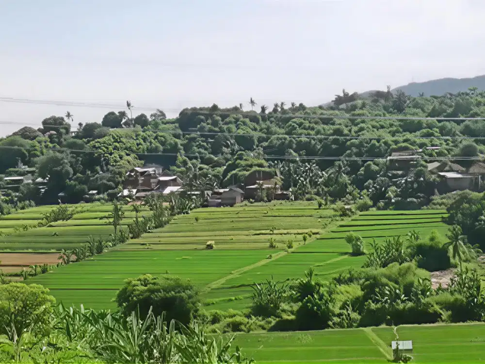 DIJUAL TANAH 57 ARE DI BULELENG LOKASI STRATEGIS